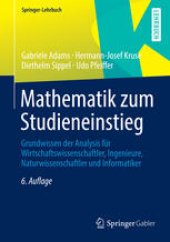 book Mathematik zum Studieneinstieg: Grundwissen der Analysis für Wirtschaftswissenschaftler, Ingenieure, Naturwissenschaftler und Informatiker