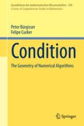 book Condition: The Geometry of Numerical Algorithms