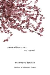 book Almond Blossoms and Beyond