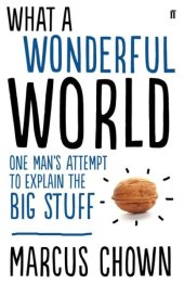 book What a wonderful world: one man's attempt to explain the big stuff