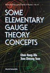 book Some Elementary Gauge Theory Concepts