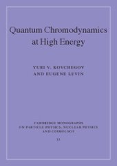 book Quantum Chromodynamics at High Energy