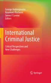 book International Criminal Justice: Critical Perspectives and New Challenges