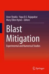 book Blast Mitigation: Experimental and Numerical Studies