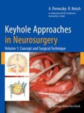 book Keyhole Approaches in Neurosurgery: Volume I Concept and surgical technique