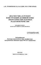 book Диагностика и ремонт конструкций активной зоны энергетических ядерных реакторов РБМК-1000