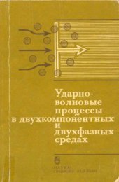book Ударно-волновые процессы в двухкомпонентных и двухфазных средах