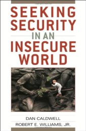 book Seeking Security in an Insecure World