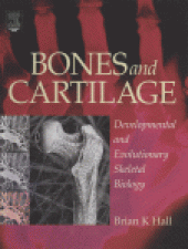 book Bones and Cartilage. Developmental and Evolutionary Skeletal Biology