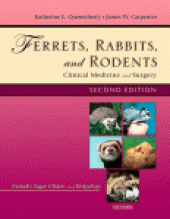 book Ferrets, Rabbits, and Rodents. Clinical Medicine and Surgery