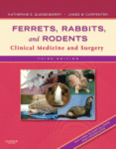 book Ferrets, Rabbits, and Rodents. Clinical Medicine and Surgery