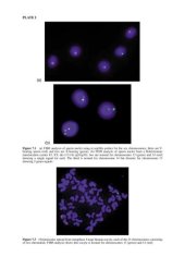 book Preimplantation Genetic Diagnosis