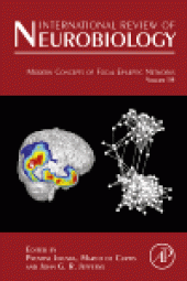 book Neurobiology of Diabetic Neuropathy