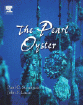 book The Pearl Oyster. A Beginner's Guide to Programming Images, Animation, and Interaction