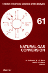 book Natural Gas Conversion