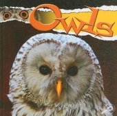 book Owls