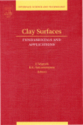 book Clay Surfaces: Fundamentals and Applications