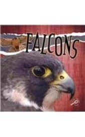 book Falcons