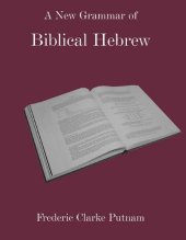 book A New Grammar of Biblical Hebrew