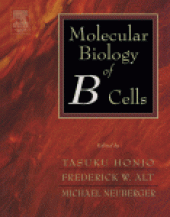 book Molecular Biology of B Cells