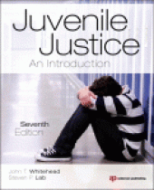 book Juvenile Justice. An Introduction