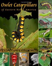 book Owlet Caterpillars of Eastern North America