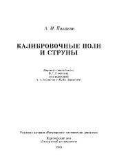 book Калибровочные поля и струны