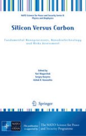 book Silicon Versus Carbon: Fundamental Nanoprocesses, Nanobiotechnology and Risks Assessment