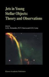 book Jets in Young Stellar Objects: Theory and Observations