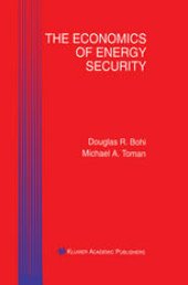 book The Economics of Energy Security