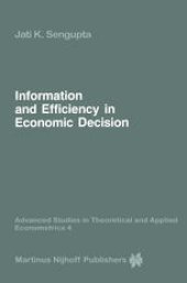 book Information and Efficiency in Economic Decision