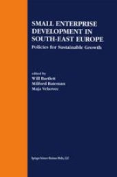 book Small Enterprise Development in South-East Europe: Policies for Sustainable Growth