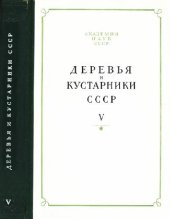 book Деревья и кустарники СССР. Дикорастущие, культивируемые и перспективные для интродукции