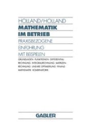 book Mathematik im Betrieb: Praxisbezogene Einführung mit Beispielen