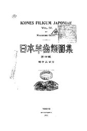 book Icones Filicum Japoniae. Vol. IV. Tokyo, 1931