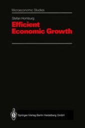 book Efficient Economic Growth