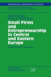 book Small Firms and Entrepreneurship in Central and Eastern Europe: A Socio-Economic Perspective