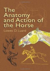 book The Anatomy and Action of the Horse