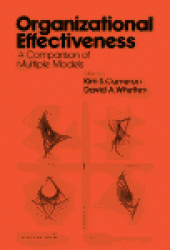 book Organizational Effectiveness. A Comparison of Multiple Models