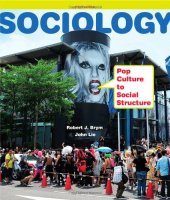 book Sociology: Pop Culture to Social Structure