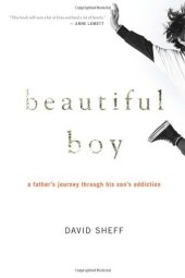 book Beautiful Boy: A Father's Journey Through His Son's Addiction