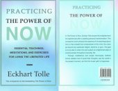 book Practising the Power of Now: Essential Teachings, Meditations and Exercises for Living the Liberated Life