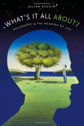 book What's It All About?: Philosophy and the Meaning of Life