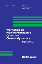 book Workshop on Non-Perturbative Quantum Chromodynamics