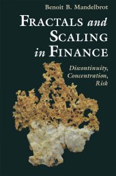 book Fractals and Scaling in Finance: Discontinuity, Concentration, Risk. Selecta Volume E