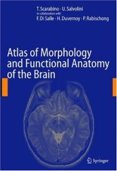 book Atlas Of Morphology And Functional Anatomy Of The Brain