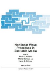 book Nonlinear Wave Processes in Excitable Media