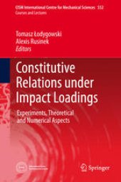 book Constitutive Relations under Impact Loadings: Experiments, Theoretical and Numerical Aspects