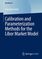 book Calibration and Parameterization Methods for the Libor Market Model