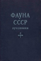 book Ручейники. Личинки и куколки подотряда кольчатощупиковых